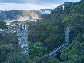 eco-Tourism: Ulu Temburong National Park is providing opportunity to the  local people to conserve nature and run successful business hand in hand.  More on Happytrips.com | Times of India Travel